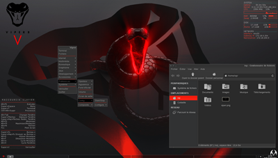 Screenshot Viperr